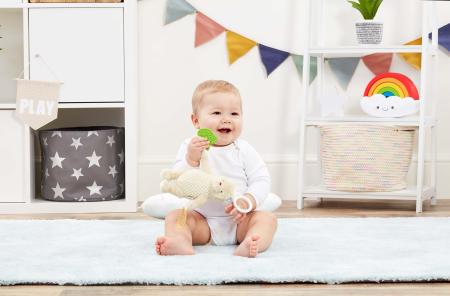 Disney winnie the pooh on the go activity toy with a baby.