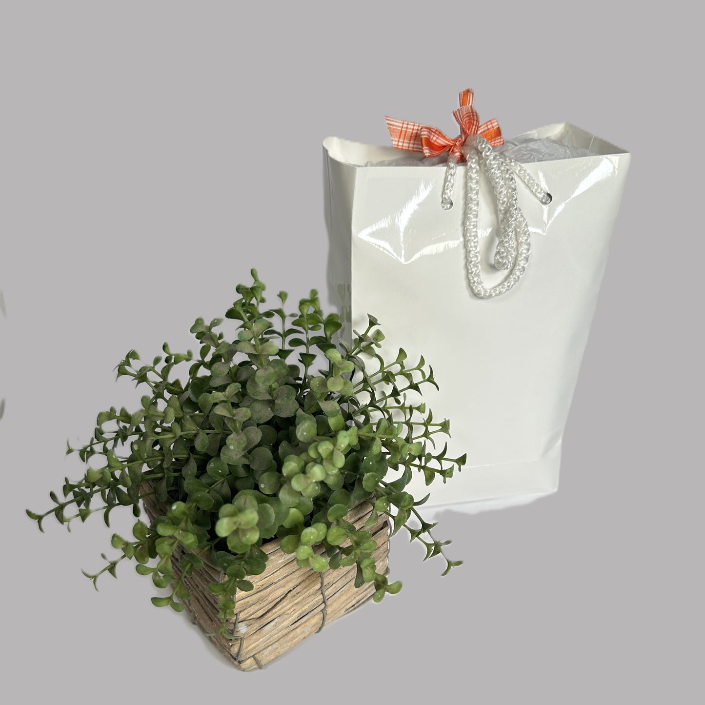 New baby gift in a gift bag
