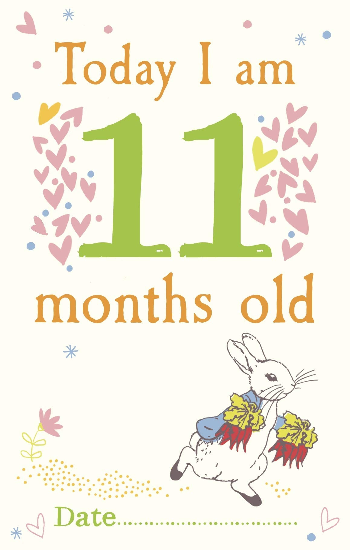 A Collection of baby milestone cards with a Peter Rabbit theme.