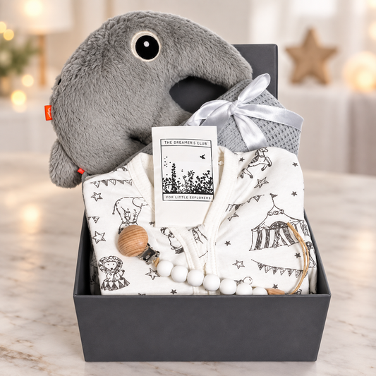 A baby gift hamper in a baby keepsake box featuring a plush ant eater toy, a white printed baby romper with circus motifs, a grey cellular baby blanket tied with a silver ribbon, a dummy clip.