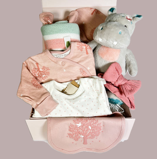 A new baby girl hamper in a pink magnetic baby keepsake box which contains a Mary Meyer Jewel Hippo soft baby toy and an organic cotton layette set and a pink , white and green striped cotton baby blanket.