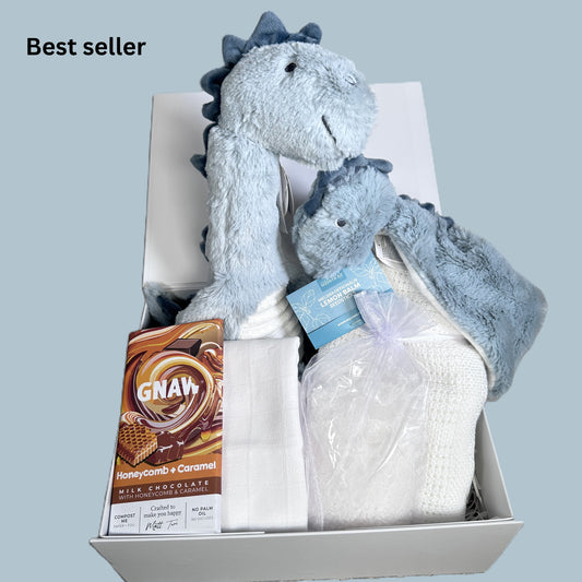 Baby hamper with light blue dinosaur soft baby toy and baby comforter