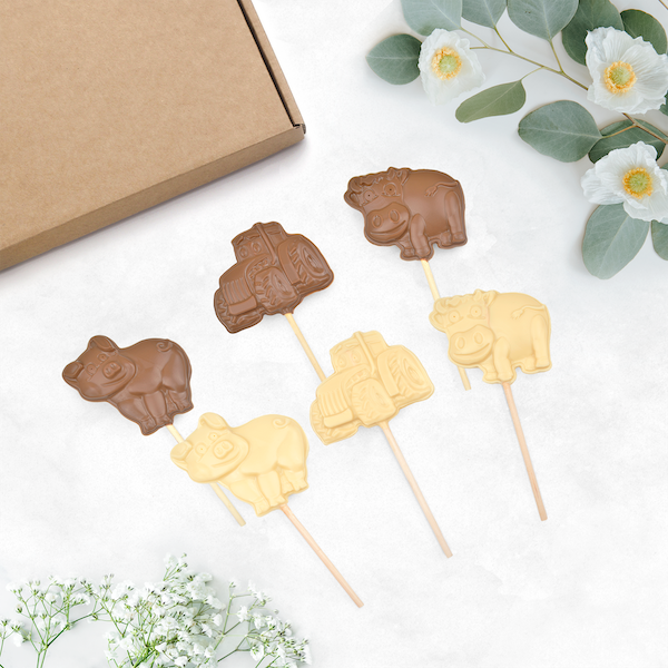 Handmade chocolate lollipop