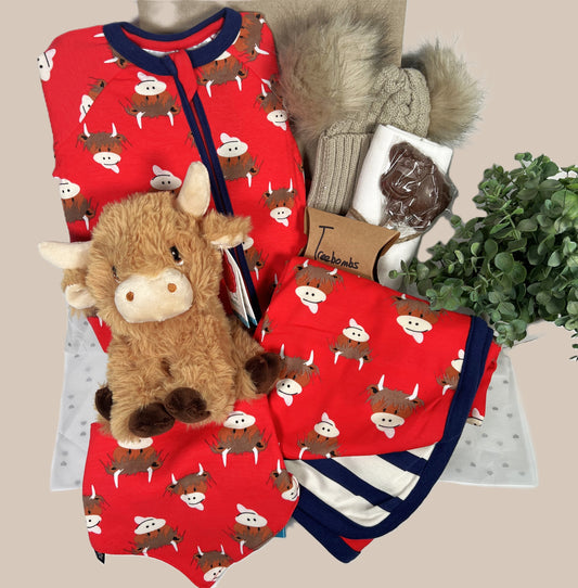 Fun unisex new baby hamper or new parents hamper containing a Blade and Rose Highland cow sleepsuit, baby blanket and matching baby bib, a caramel coloured double pompom baby hat, a white muslin square, a Choc Affair farmyard cow milk chocolate lolly and a pack of Treebombs.