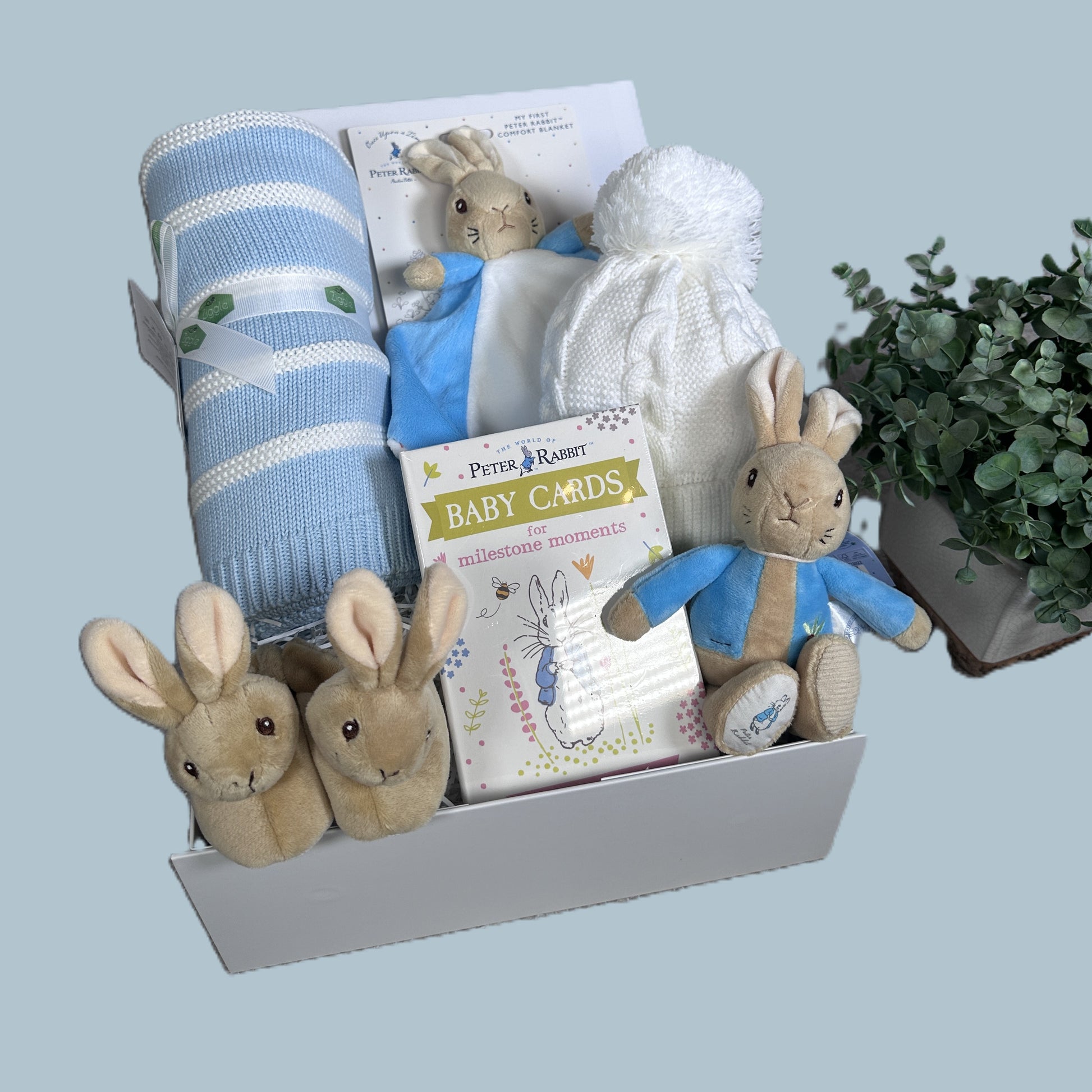 Peter rabbit themed new baby gift hamper with blanket and soft toys
