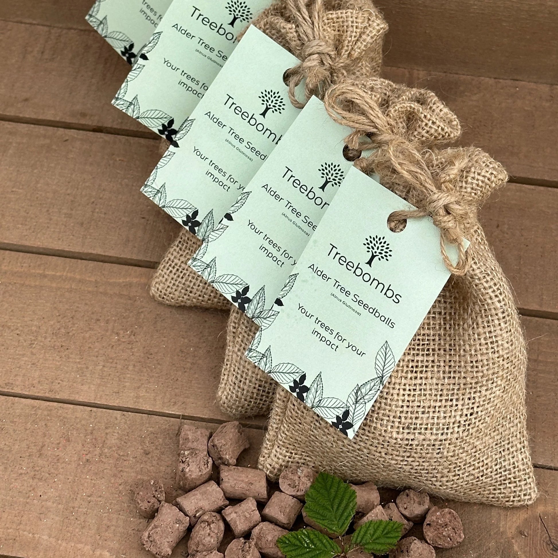 Treebomb packaging with seedpods and tags on a wooden surface