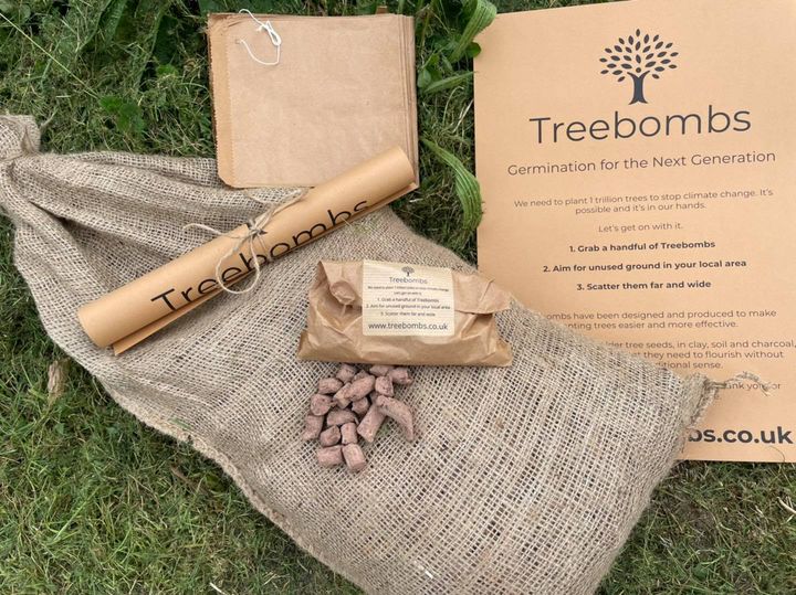 Treebomb packaging with tree seedlings on a grassy background