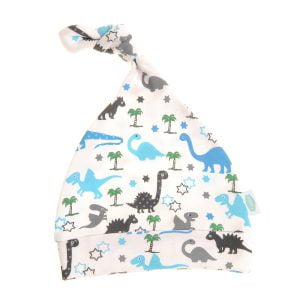 New Baby Boy Gifts- Dinosaurs, New Parents Gifts For Boys, Baby Shower Gifts For Boys