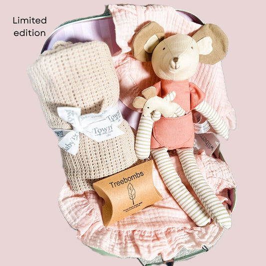 Baby Girl Hamper, Mouse Soft Toy, Neutral Baby Clothing