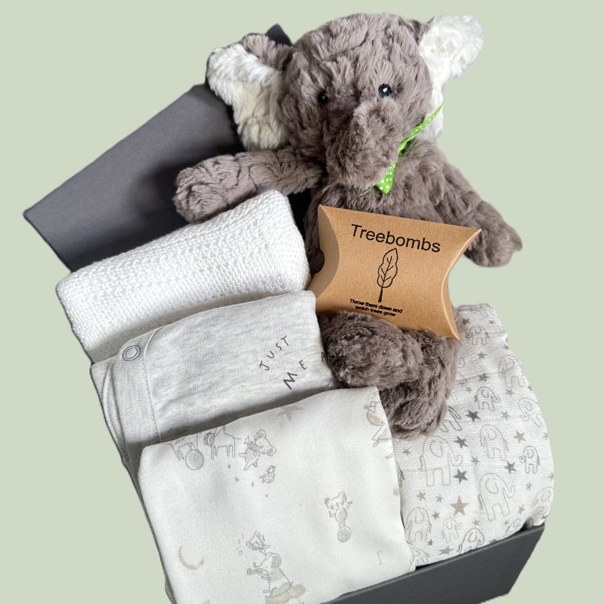 Baby hamper gift with baby clothes and plush elephant soft baby toy with 'Treebombs' packaging on a light green background