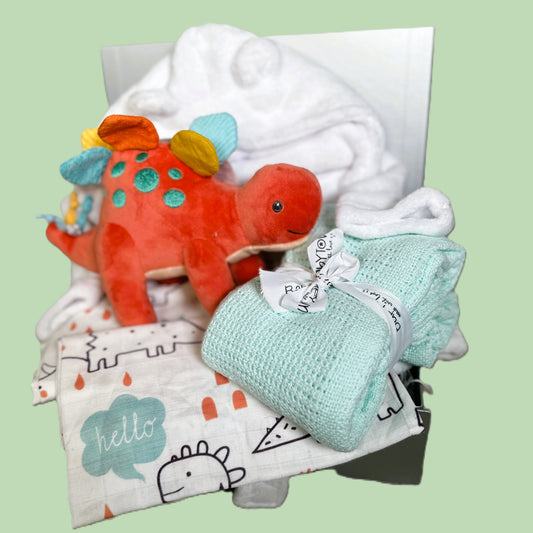 dinosaur themed baby hamper with mint blanket and dinosaur toy