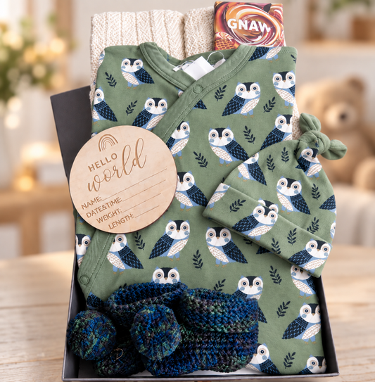 baby hamper with sleepsuit and hat outfit with owl pattern. booties, and 'Hello World' sign in a box on a light green background