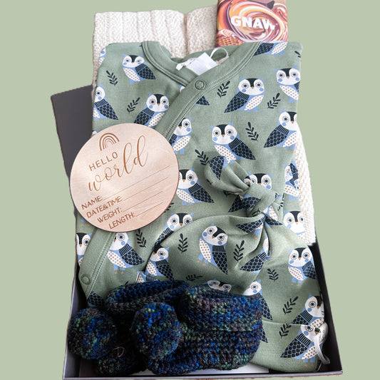 baby hamper with sleepsuit and hat outfit with owl pattern, booties, and 'Hello World' sign in a box on a light green background