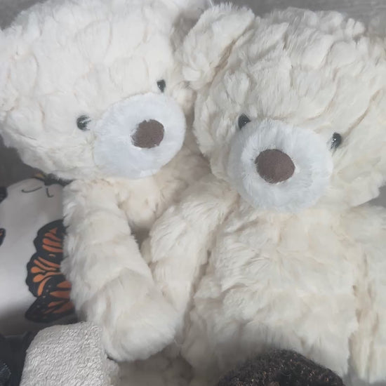 Twins baby hamper with butterfly print rompers and Mary Meyer teddy bears.