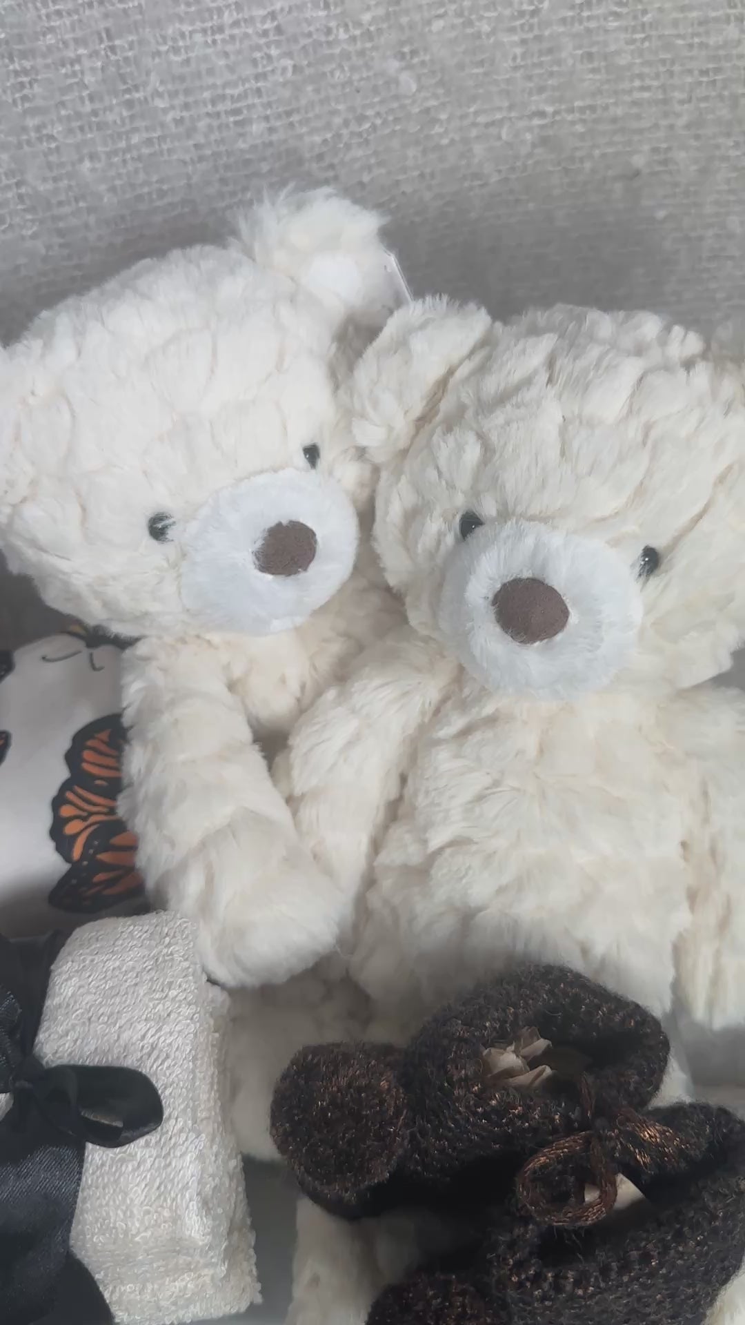 Twins baby hamper with butterfly print rompers and Mary Meyer teddy bears.