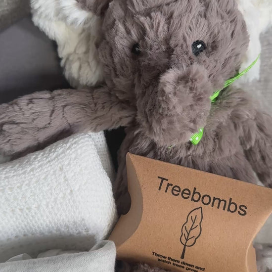 video of elephant themed new baby hamper.