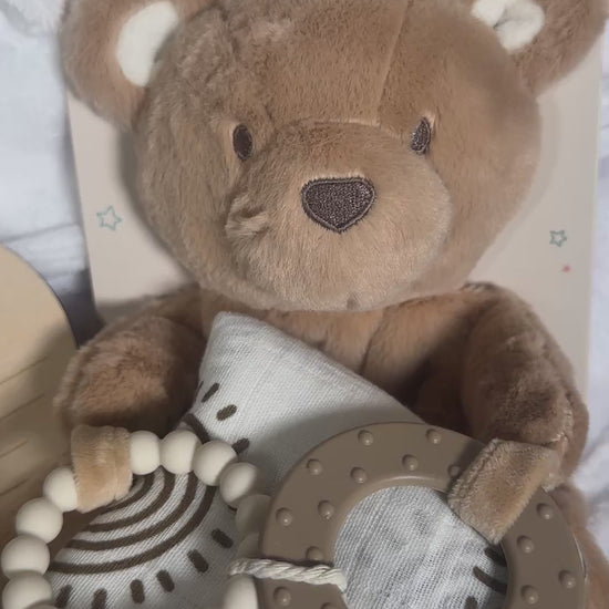 Video of bear new baby gift
