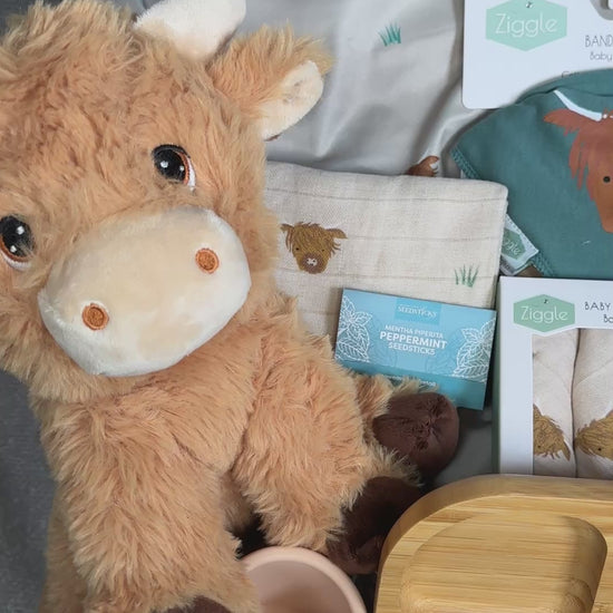 highland cow themed baby hamper gift video