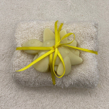 sibling gift of a flannel and soap in the shape of a dinosaur
